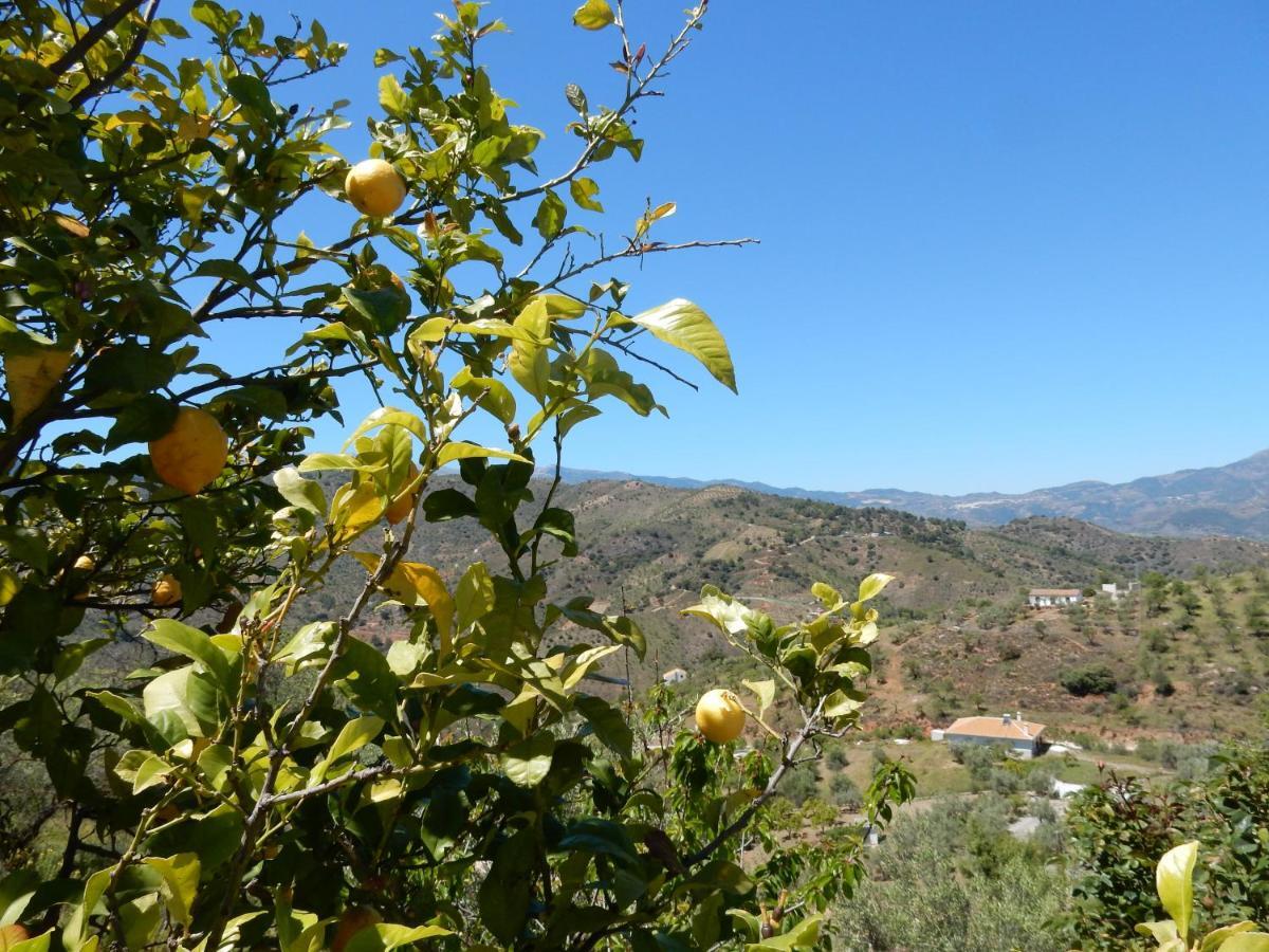 דירות Guaro Casa Del Limonero מראה חיצוני תמונה